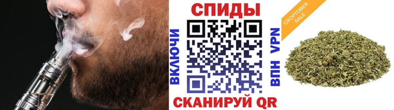 где купить   Почеп  БУТИРАТ буратино 