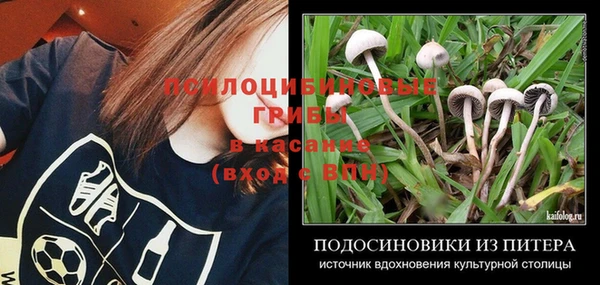 хмурый Армянск