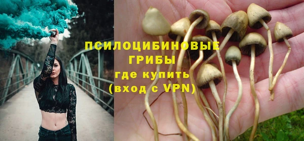хмурый Армянск