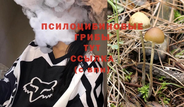 хмурый Армянск