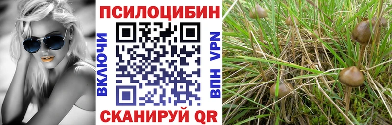 Галлюциногенные грибы ЛСД ссылка на мегу зеркало Почеп